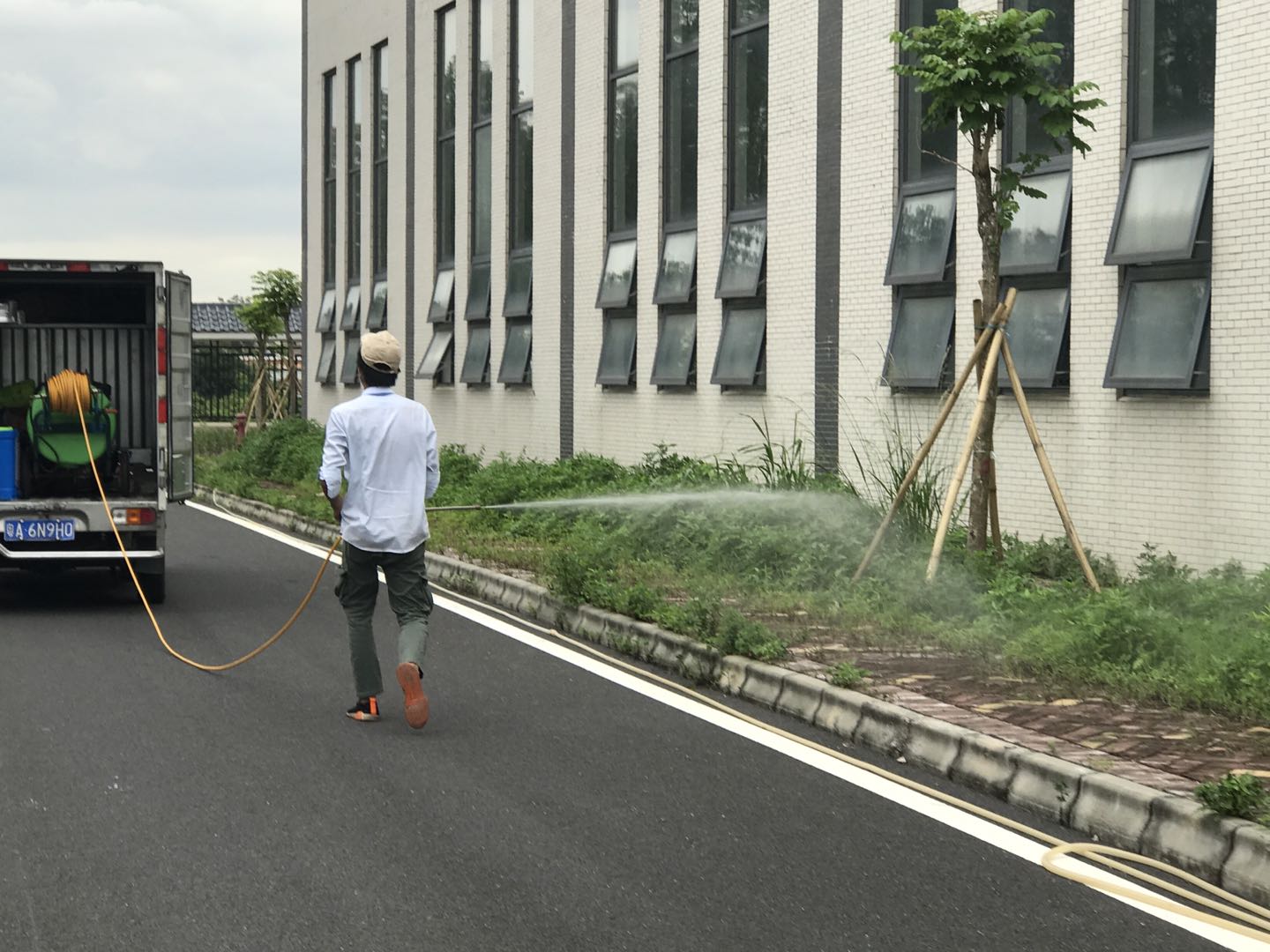 黄埔厂区道路绿化消杀灭蚊现场